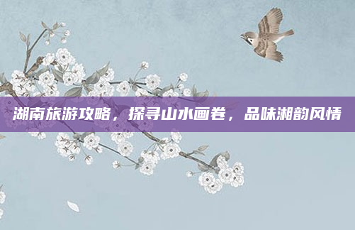 湖南旅游攻略,探寻山水画卷,品味湘韵风情