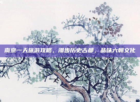 南京一天旅游攻略，漫步历史古都，品味六朝文化