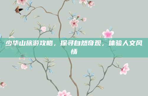 少华山旅游攻略，探寻自然奇观，体验人文风情