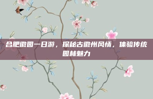 合肥徽园一日游，探秘古徽州风情，体验传统园林魅力
