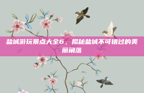 盐城游玩景点大全6，揭秘盐城不可错过的美丽角落