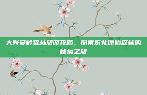 大兴安岭森林旅游攻略，探索东北原始森林的秘境之旅