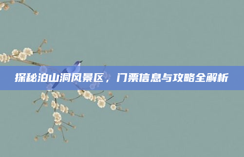 探秘泊山洞风景区，门票信息与攻略全解析