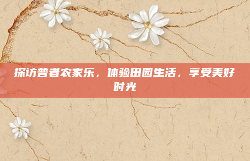探访普者农家乐，体验田园生活，享受美好时光