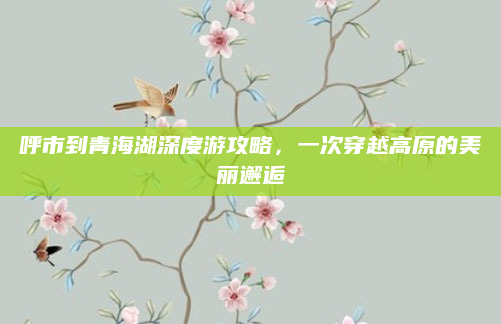 呼市到青海湖深度游攻略，一次穿越高原的美丽邂逅