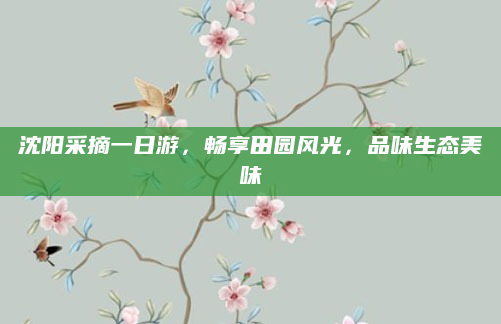 沈阳采摘一日游，畅享田园风光，品味生态美味