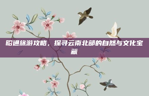 昭通旅游攻略，探寻云南北部的自然与文化宝藏