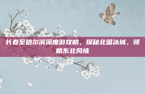长春至哈尔滨深度游攻略，探秘北国冰城，领略东北风情