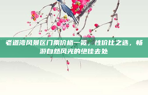老道湾风景区门票价格一览，性价比之选，畅游自然风光的绝佳去处