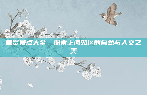 奉贤景点大全，探索上海郊区的自然与人文之美