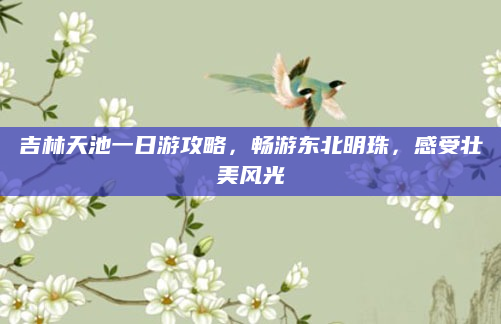 吉林天池一日游攻略，畅游东北明珠，感受壮美风光