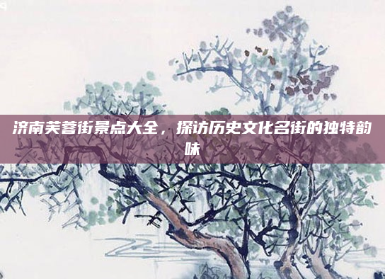 济南芙蓉街景点大全,探访历史文化名街的独特韵味