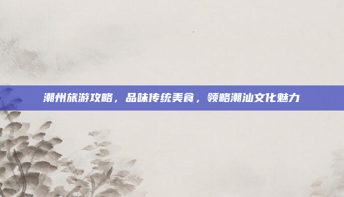 潮州旅游攻略,品味传统美食,领略潮汕文化魅力