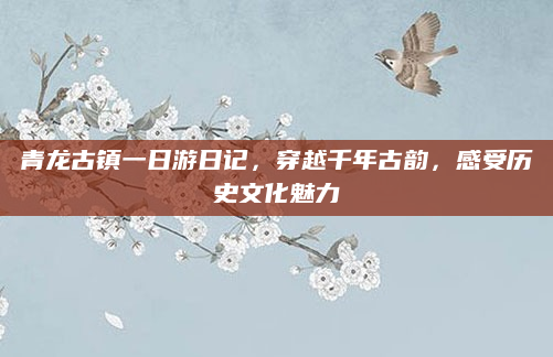 青龙古镇一日游日记，穿越千年古韵，感受历史文化魅力