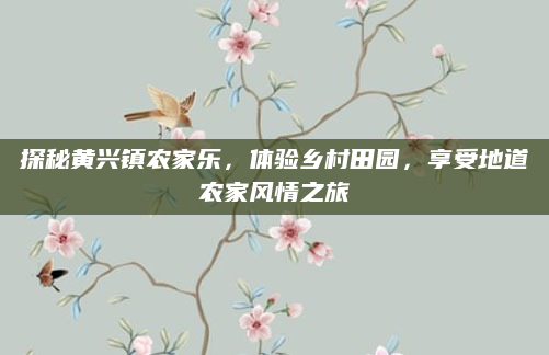 探秘黄兴镇农家乐，体验乡村田园，享受地道农家风情之旅