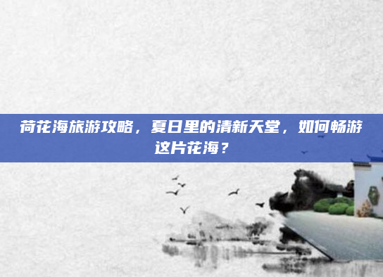 荷花海旅游攻略，夏日里的清新天堂，如何畅游这片花海？