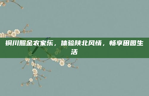 铜川照金农家乐，体验陕北风情，畅享田园生活