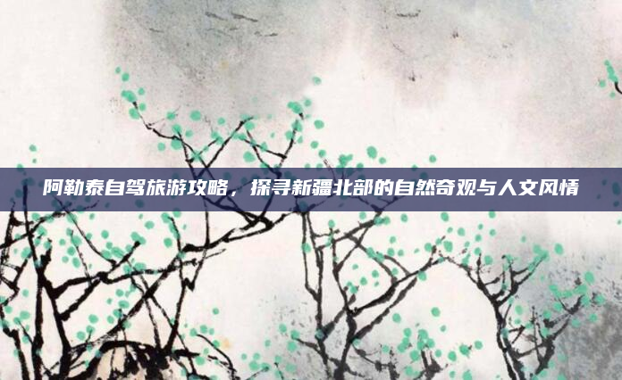 阿勒泰自驾旅游攻略，探寻新疆北部的自然奇观与人文风情