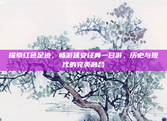 探索红色足迹,畅游延安经典一日游,历史与现代的完美融合