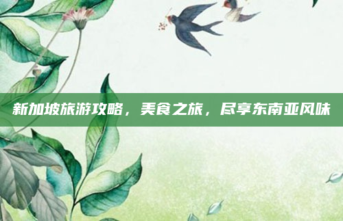 新加坡旅游攻略，美食之旅，尽享东南亚风味