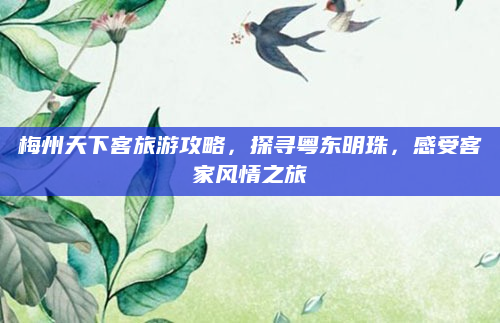梅州天下客旅游攻略，探寻粤东明珠，感受客家风情之旅