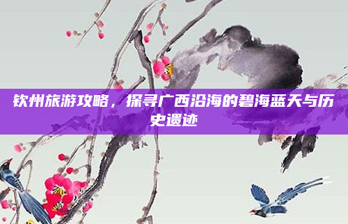 钦州旅游攻略,探寻广西沿海的碧海蓝天与历史遗迹