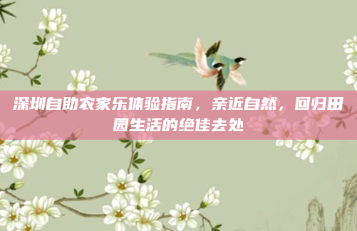 深圳自助农家乐体验指南，亲近自然，回归田园生活的绝佳去处