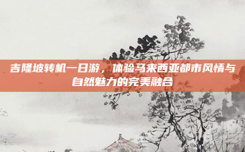 吉隆坡转机一日游，体验马来西亚都市风情与自然魅力的完美融合
