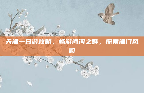 天津一日游攻略，畅游海河之畔，探索津门风韵