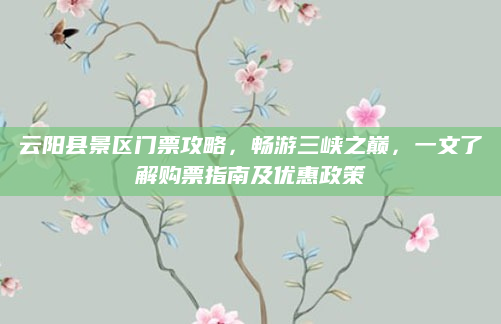云阳县景区门票攻略，畅游三峡之巅，一文了解购票指南及优惠政策