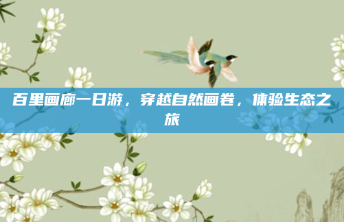 百里画廊一日游，穿越自然画卷，体验生态之旅