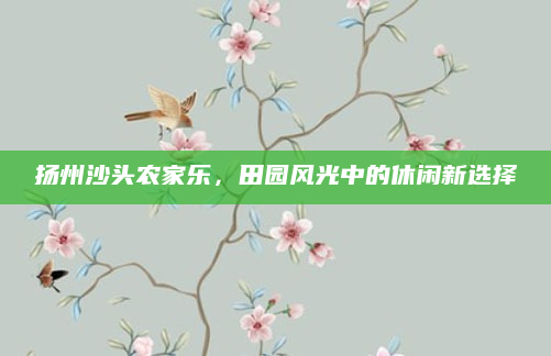 扬州沙头农家乐，田园风光中的休闲新选择