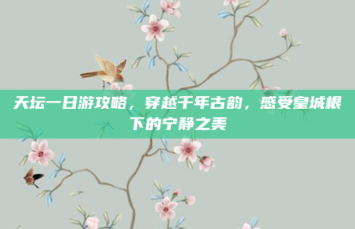 天坛一日游攻略，穿越千年古韵，感受皇城根下的宁静之美