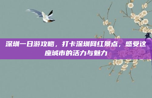深圳一日游攻略，打卡深圳网红景点，感受这座城市的活力与魅力