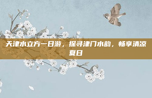天津水立方一日游，探寻津门水韵，畅享清凉夏日
