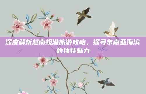 深度解析越南蚬港旅游攻略，探寻东南亚海滨的独特魅力