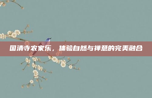 国清寺农家乐，体验自然与禅意的完美融合