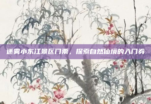 迷雾小东江景区门票，探索自然仙境的入门券