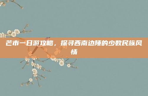 芒市一日游攻略，探寻西南边陲的少数民族风情