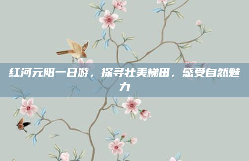 红河元阳一日游，探寻壮美梯田，感受自然魅力