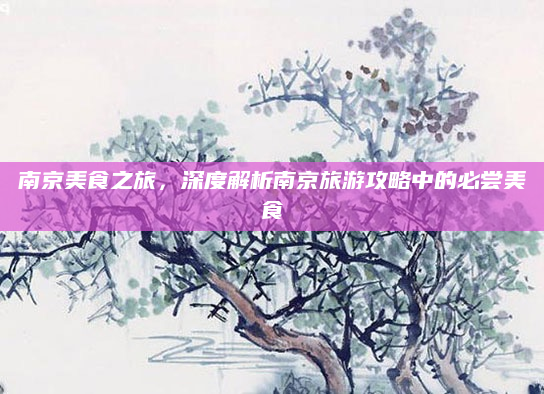 南京美食之旅，深度解析南京旅游攻略中的必尝美食