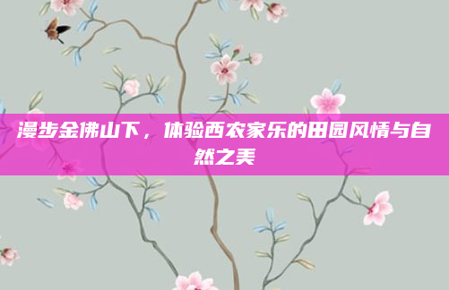 漫步金佛山下，体验西农家乐的田园风情与自然之美