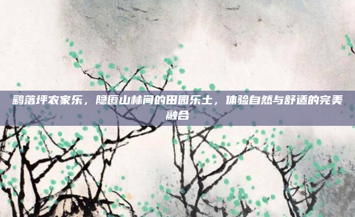 鹞落坪农家乐，隐匿山林间的田园乐土，体验自然与舒适的完美融合