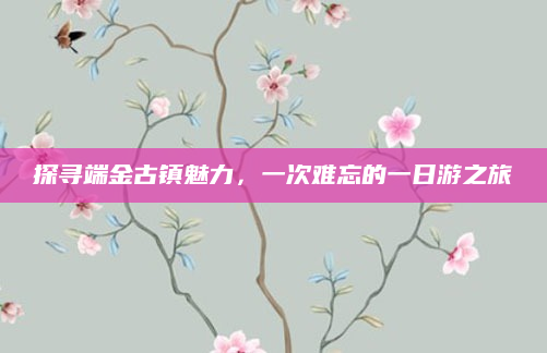 探寻端金古镇魅力，一次难忘的一日游之旅