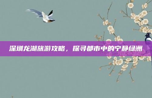深圳龙湖旅游攻略，探寻都市中的宁静绿洲
