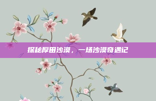 探秘厚田沙漠，一场沙漠奇遇记