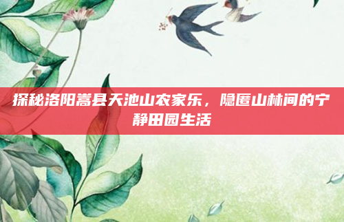 探秘洛阳嵩县天池山农家乐，隐匿山林间的宁静田园生活