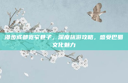漫步成都宽窄巷子，深度旅游攻略，感受巴蜀文化魅力