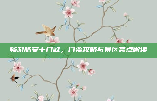 畅游临安十门峡，门票攻略与景区亮点解读