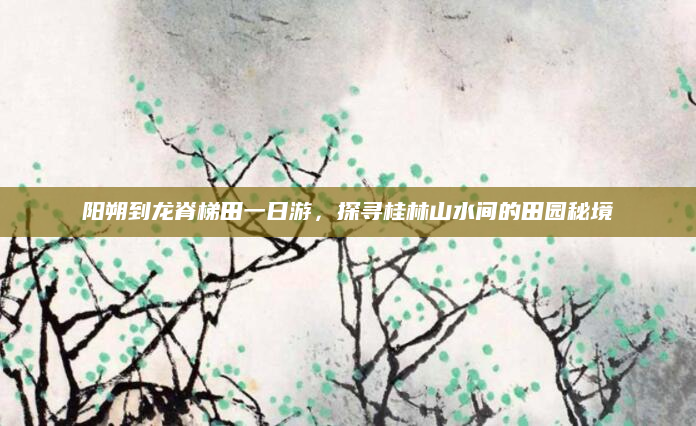 阳朔到龙脊梯田一日游，探寻桂林山水间的田园秘境